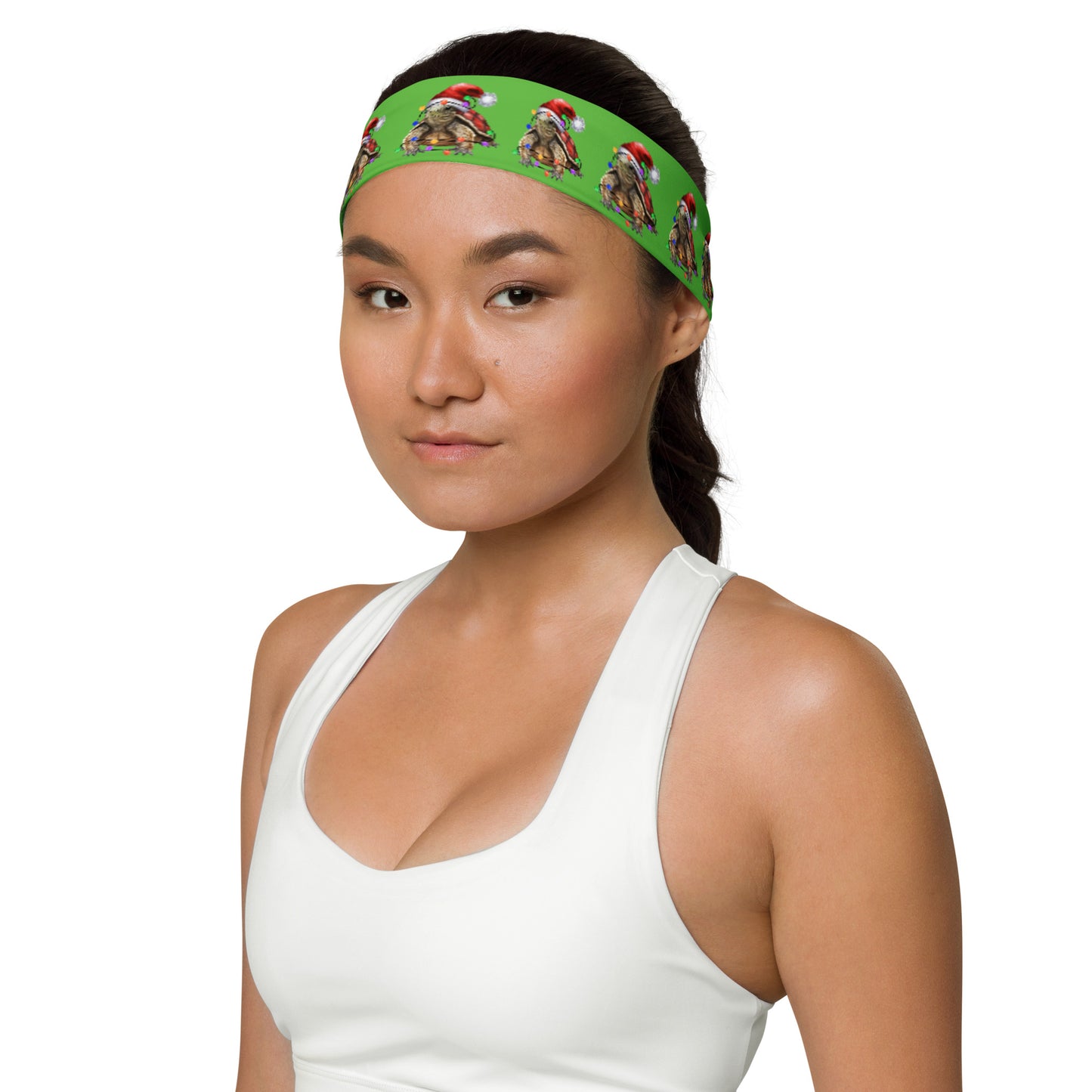 Sanibel Santa Headband